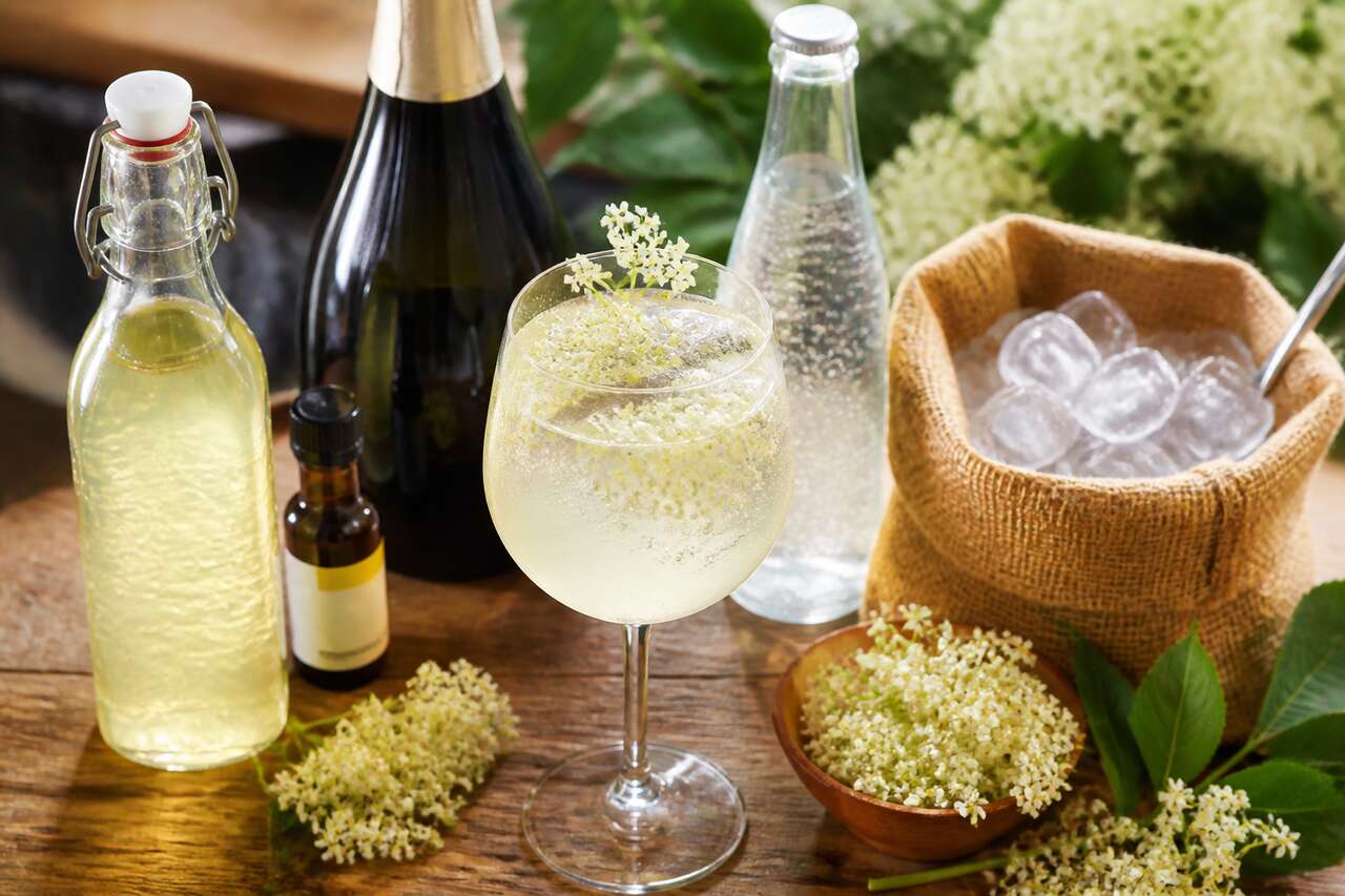 Recette de l'elderflower spritz : le cocktail p&eacute;tillant &agrave; la fleur de sureau