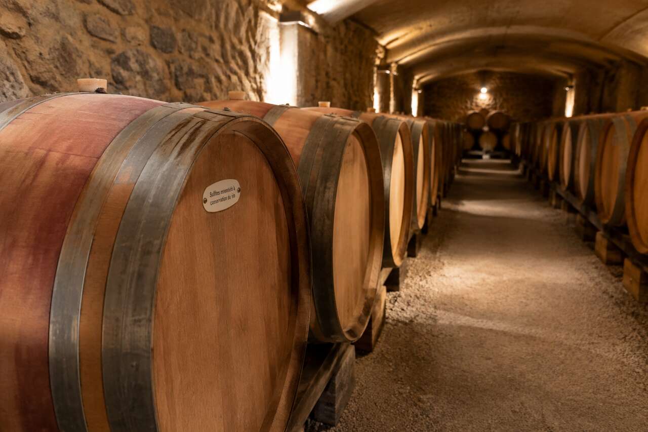 à quoi servent les sulfites dans le vin à quoi servent les sulfites dans le vin
