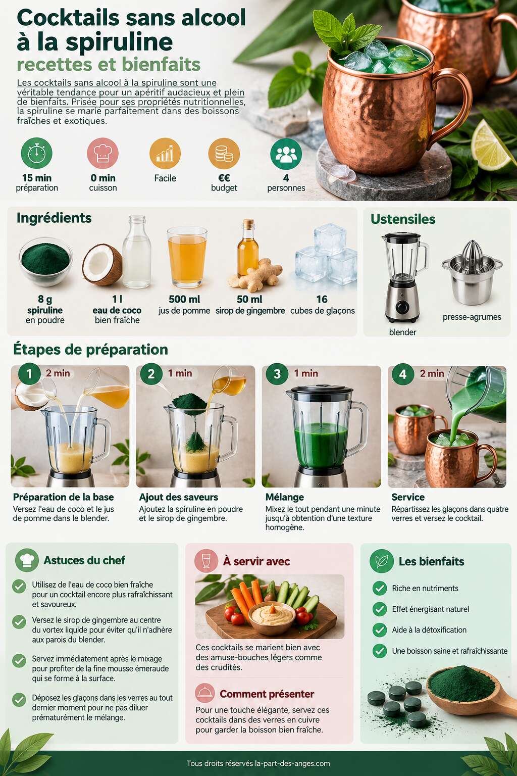 Fiche recette Cocktails sans alcool à la spiruline : recettes et bienfaits Fiche recette Cocktails sans alcool à la spiruline : recettes et bienfaits